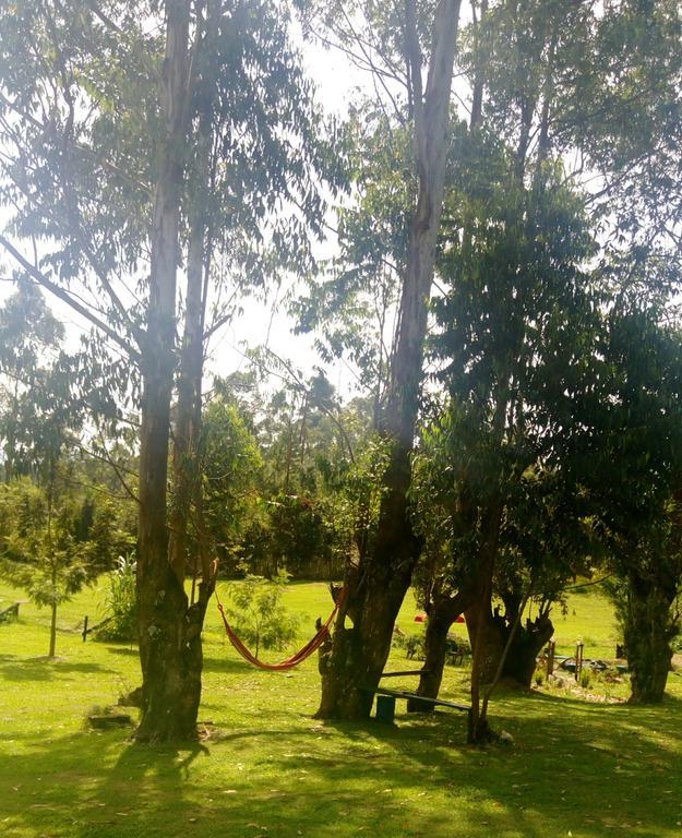 Kalitusi Backpackers Hostel&Campsite Fort Portal Bagian luar foto