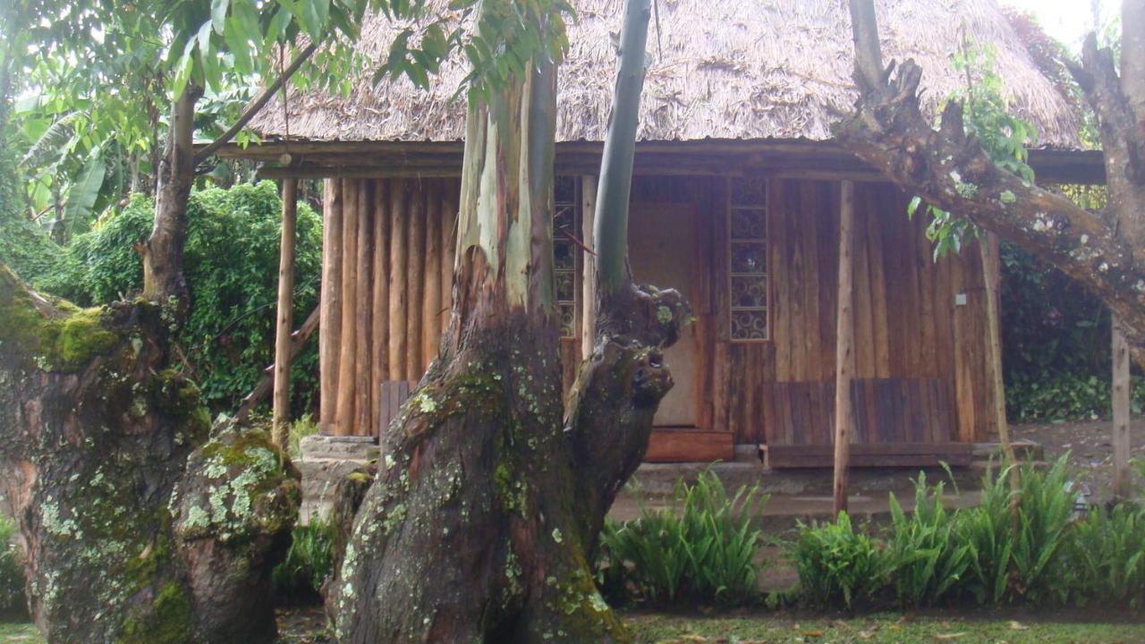 Kalitusi Backpackers Hostel&Campsite Fort Portal Bagian luar foto